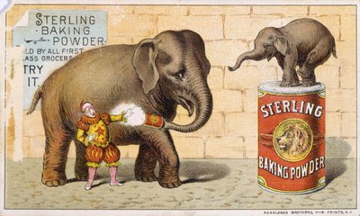 Sterling Baking Powder by American School